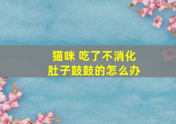 猫咪 吃了不消化肚子鼓鼓的怎么办